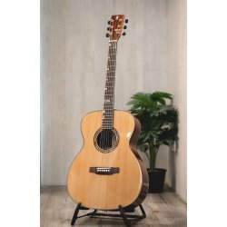 Fonzo V-201C OM Full Body